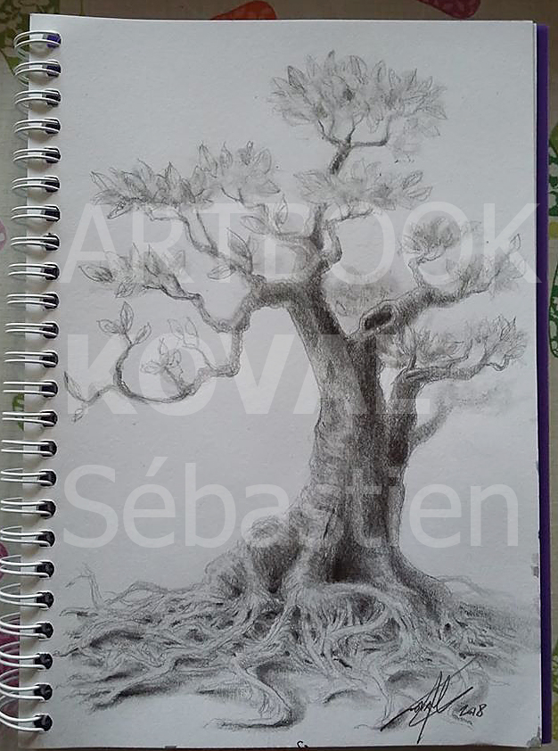 arbre bansai racines dessign dessin ARTBOOK KOVAL Sébastien artiste
