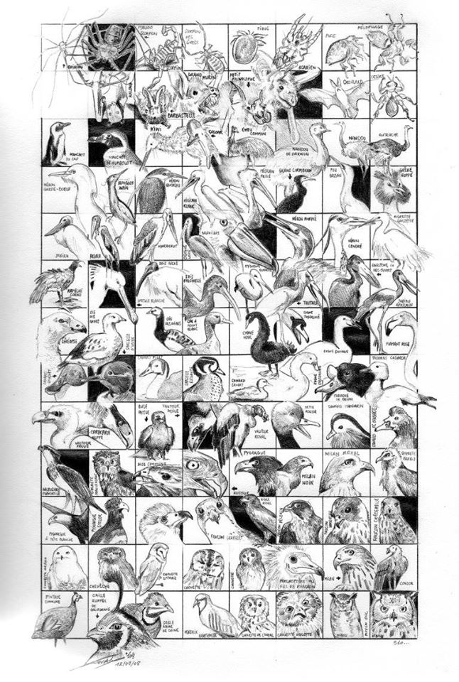 mini encyclopedie Animaux dessign dessin ARTBOOK KOVAL Sébastien artiste