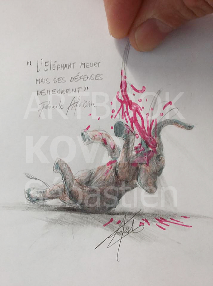 elephant massacre dessign.fr dessin ARTBOOK KOVAL Sébastien