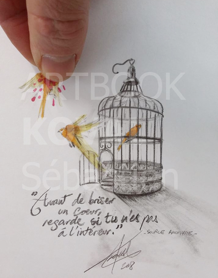 coeur en cage evasion dessign.fr dessin ARTBOOK KOVAL Sébastien