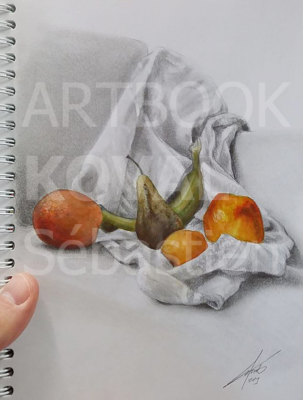 nature morte pomme poire banane orange dessign.fr dessin ARTBOOK KOVAL Sébastien
