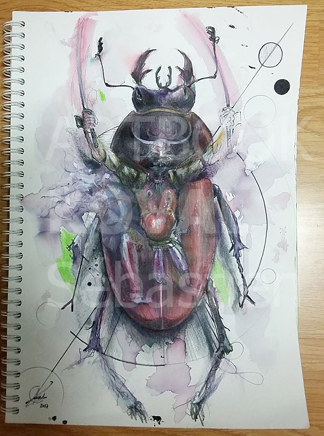 scarabee samurai dessign.fr dessin ARTBOOK KOVAL Sébastien