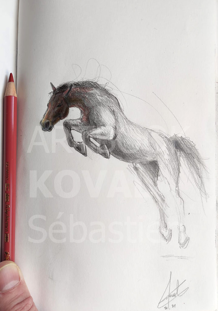 cheval saut obstacle dessign.fr dessin ARTBOOK KOVAL Sébastien
