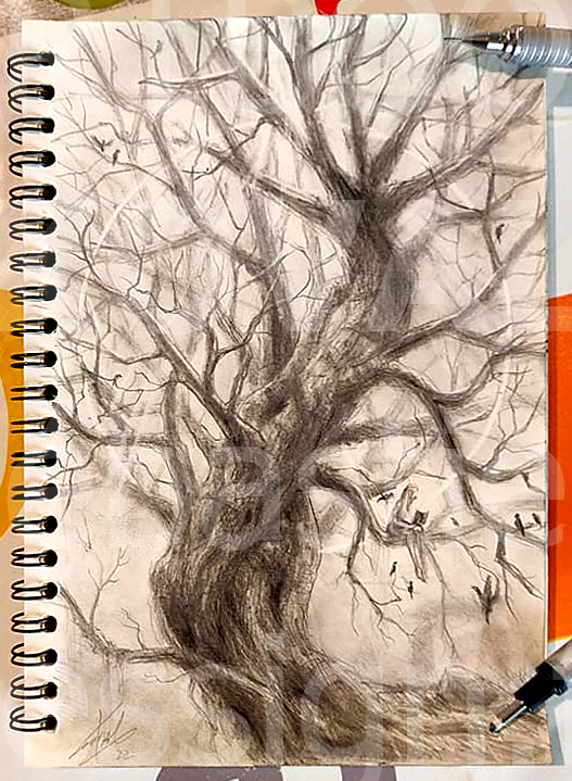 arbre ancestral lectrice sur branche dessign.fr dessin ARTBOOK KOVAL Sébastien